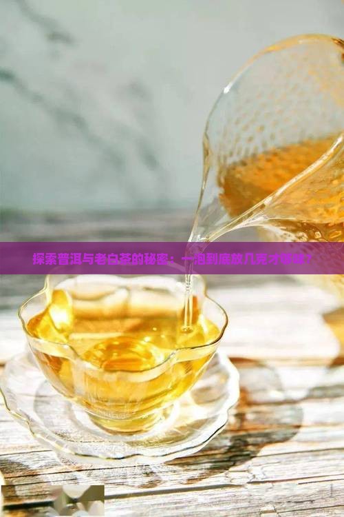 探索普洱与老白茶的秘密：一泡到底放几克才够味？