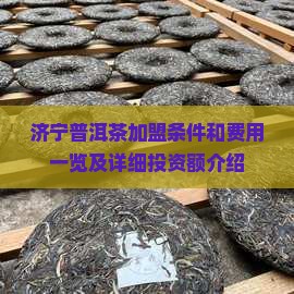 济宁普洱茶加盟条件和费用一览及详细投资额介绍
