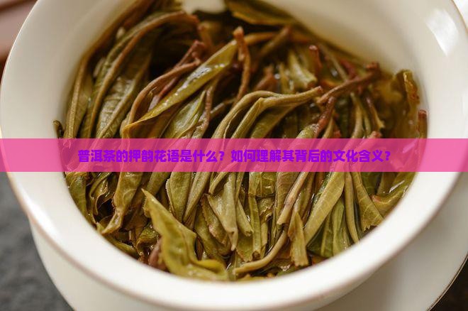 普洱茶的押韵花语是什么？如何理解其背后的文化含义？