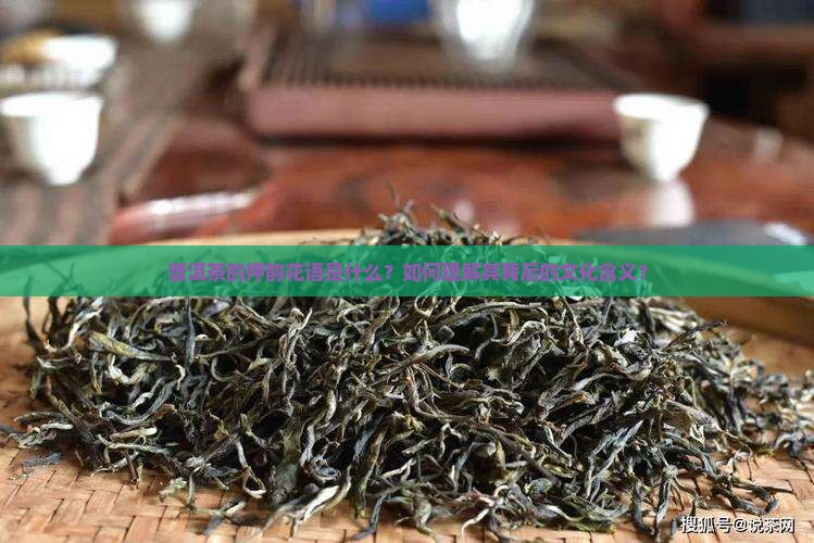 普洱茶的押韵花语是什么？如何理解其背后的文化含义？