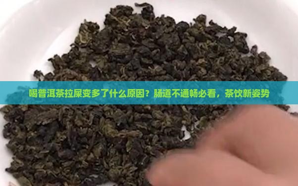喝普洱茶拉屎变多了什么原因？肠道不通畅必看，茶饮新姿势