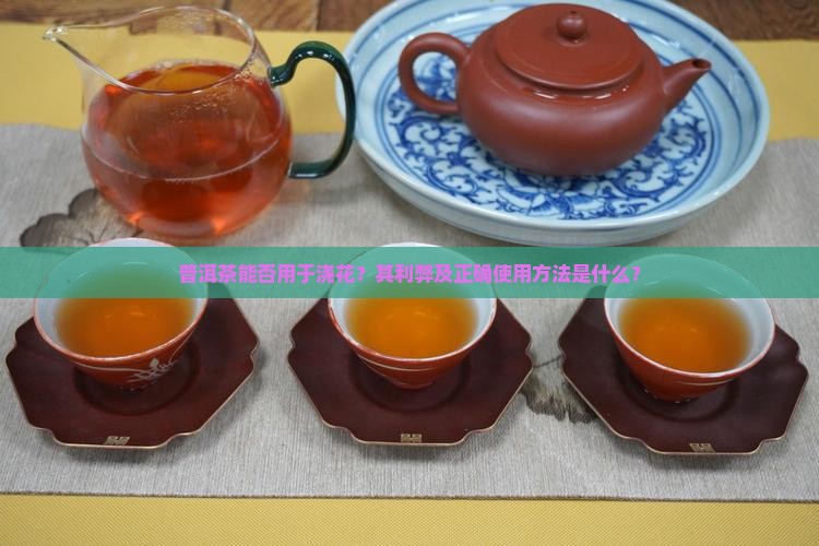 普洱茶能否用于浇花？其利弊及正确使用方法是什么？