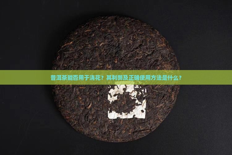 普洱茶能否用于浇花？其利弊及正确使用方法是什么？