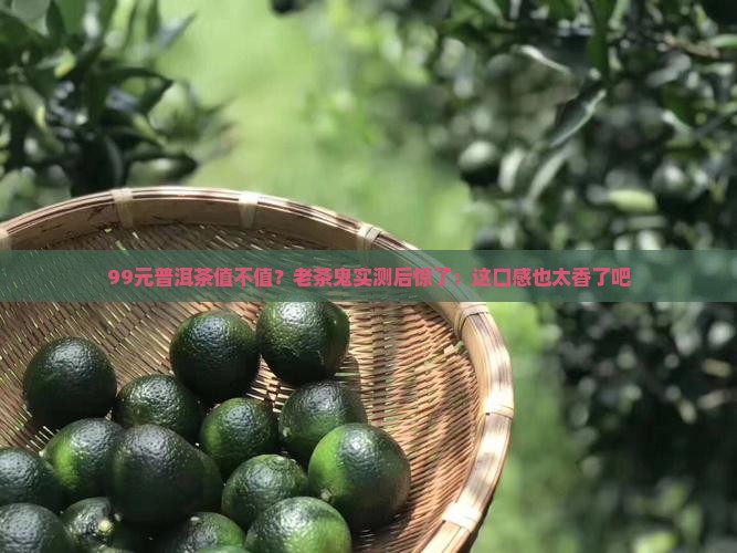 99元普洱茶值不值？老茶鬼实测后惊了：这口感也太香了吧