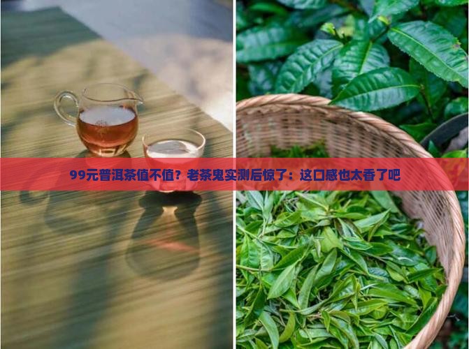 99元普洱茶值不值？老茶鬼实测后惊了：这口感也太香了吧