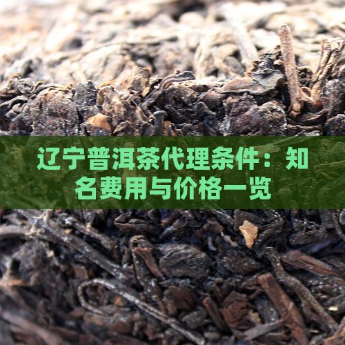 辽宁普洱茶代理条件：知名费用与价格一览