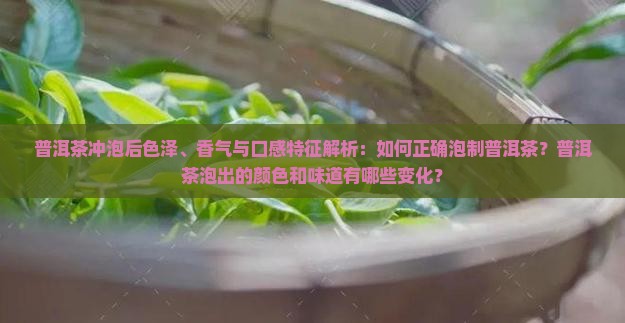 普洱茶冲泡后色泽、香气与口感特征解析：如何正确泡制普洱茶？普洱茶泡出的颜色和味道有哪些变化？