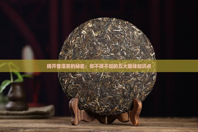 揭开普洱茶的秘密：你不得不知的五大趣味知识点