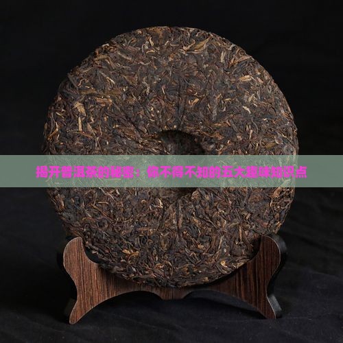 揭开普洱茶的秘密：你不得不知的五大趣味知识点