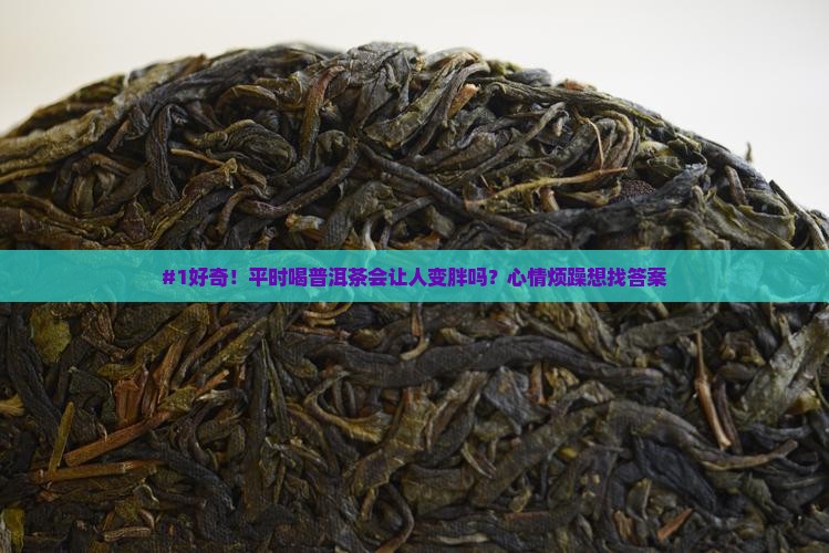 #1好奇！平时喝普洱茶会让人变胖吗？心情烦躁想找答案