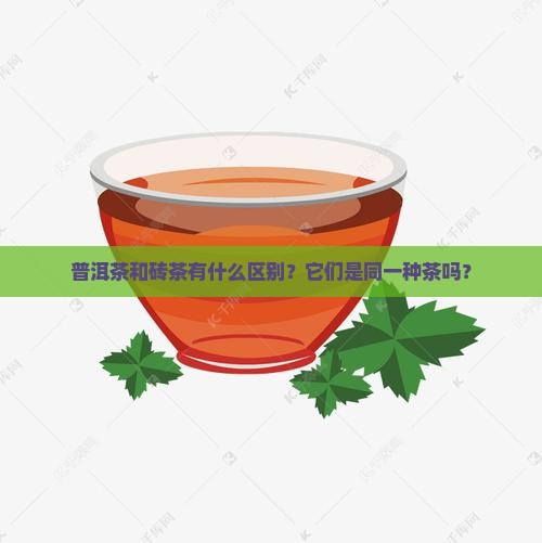 普洱茶和砖茶有什么区别？它们是同一种茶吗？