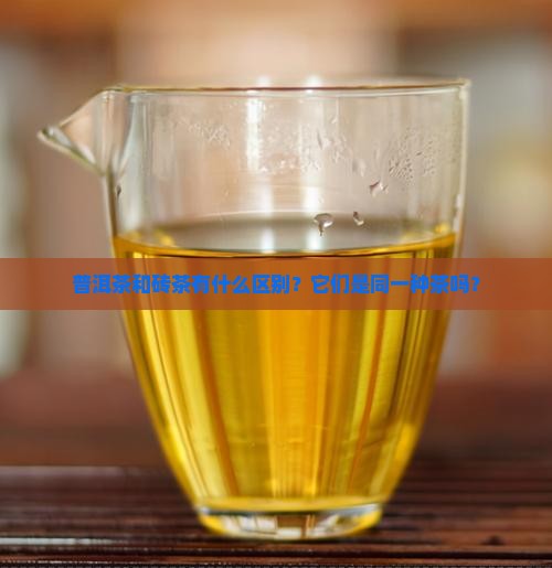 普洱茶和砖茶有什么区别？它们是同一种茶吗？