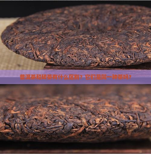 普洱茶和砖茶有什么区别？它们是同一种茶吗？
