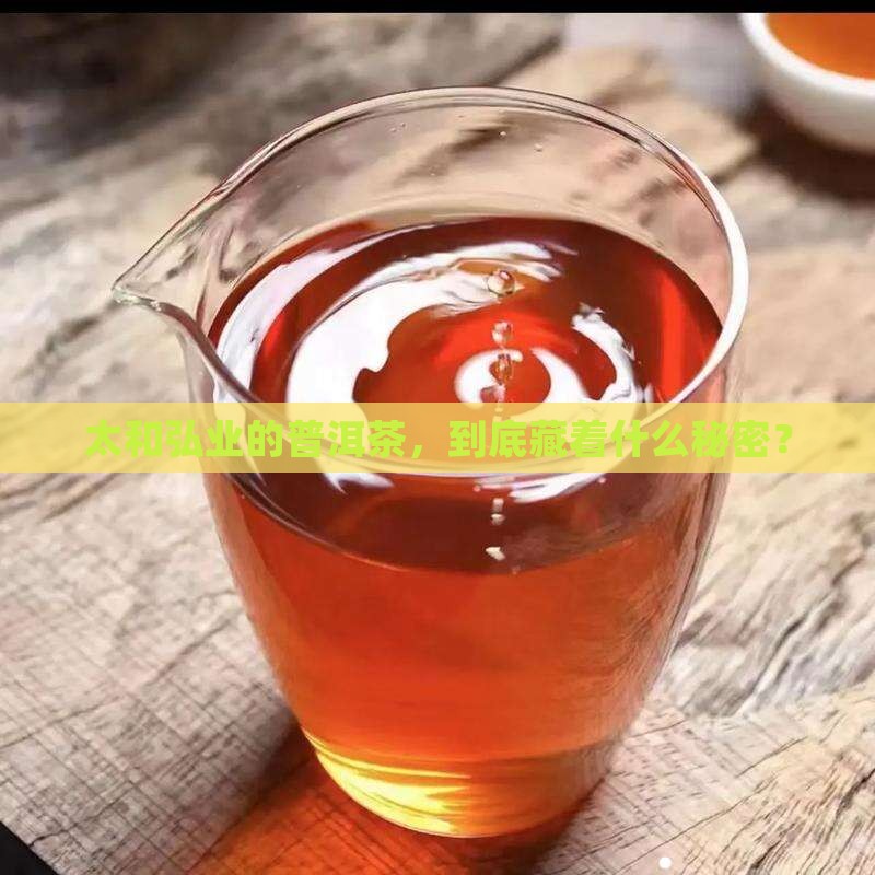 太和弘业的普洱茶，到底藏着什么秘密？