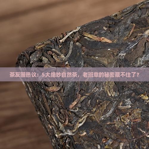 茶友圈热议：5大绝妙自然茶，老班章的秘密藏不住了？
