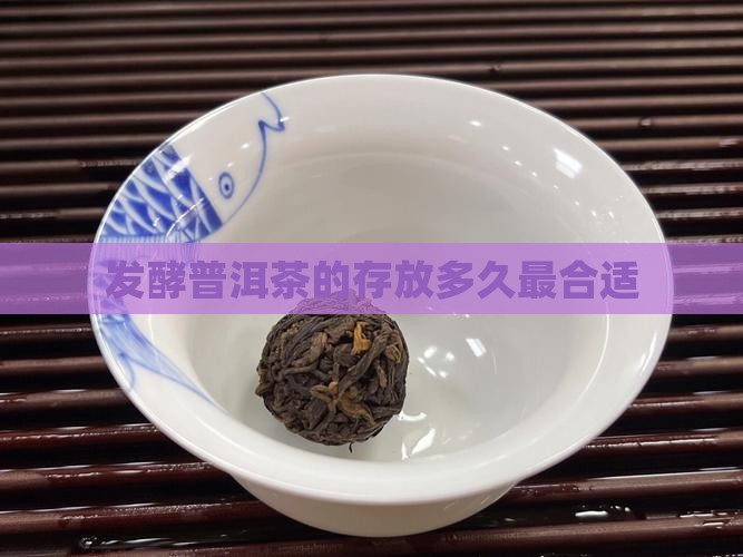 发酵普洱茶的存放多久最合适