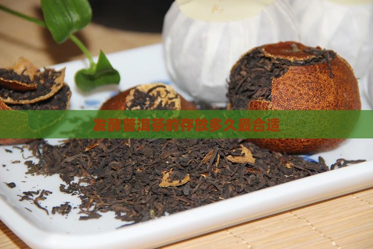 发酵普洱茶的存放多久最合适