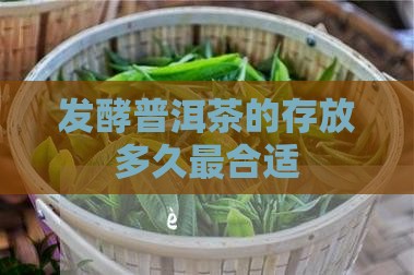 发酵普洱茶的存放多久最合适