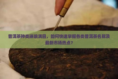 普洱茶种类琳琅满目，如何快速掌握各类普洱茶名称及最新市场热点？