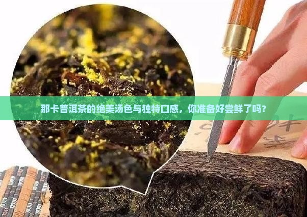 那卡普洱茶的绝美汤色与独特口感，你准备好尝鲜了吗？