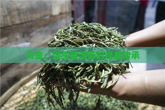 乌金：诞生普洱茶的经典传承