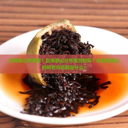 勐海茶山有哪些？勐海茶山分布情况如何？各勐海茶山的特色与区别是什么？