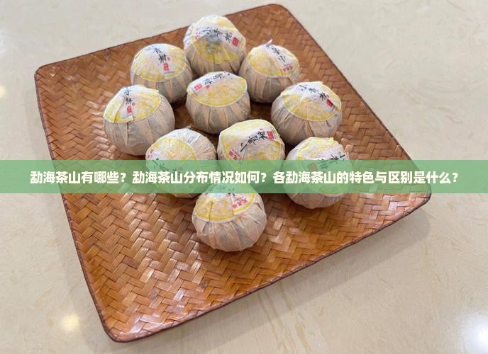 勐海茶山有哪些？勐海茶山分布情况如何？各勐海茶山的特色与区别是什么？