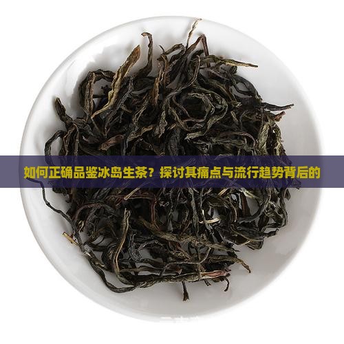 如何正确品鉴冰岛生茶？探讨其痛点与流行趋势背后的
