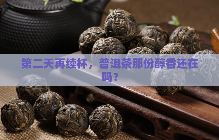 第二天再续杯，普洱茶那份醇香还在吗？