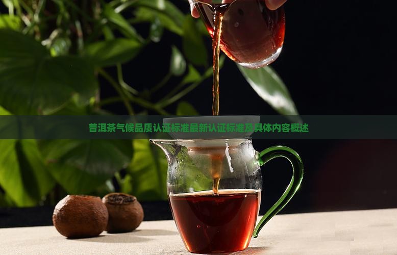 普洱茶气候品质认证标准最新认证标准及具体内容概述
