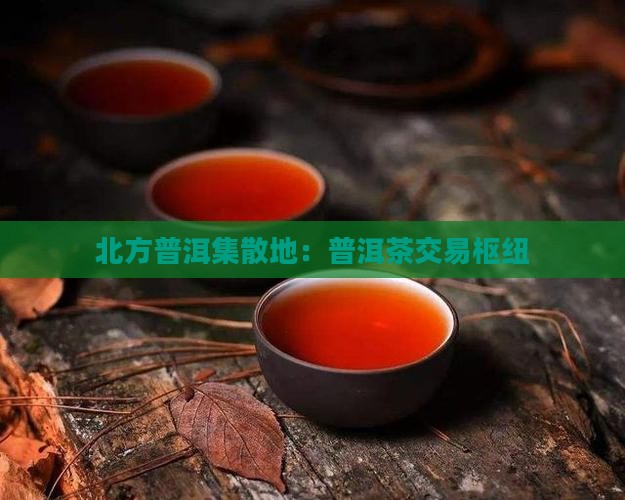 北方普洱集散地：普洱茶交易枢纽