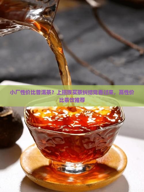小厂性价比普洱茶？上班族买茶纠结党看过来，高性价比茶饮推荐