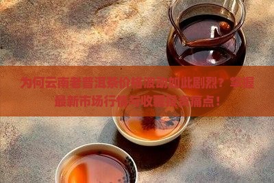 为何云南老普洱茶价格波动如此剧烈？掌握最新市场行情与收藏投资痛点！