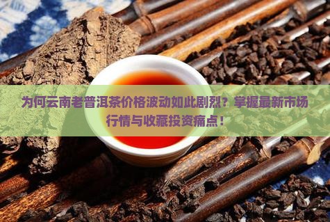 为何云南老普洱茶价格波动如此剧烈？掌握最新市场行情与收藏投资痛点！