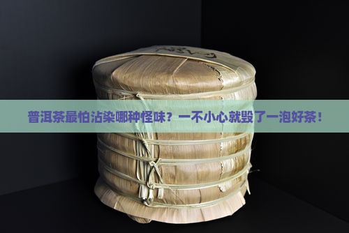 普洱茶最怕沾染哪种怪味？一不小心就毁了一泡好茶！