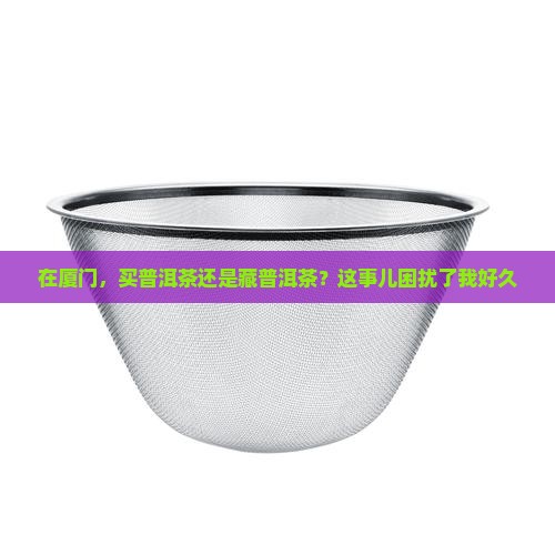在厦门，买普洱茶还是藏普洱茶？这事儿困扰了我好久