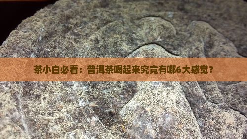 茶小白必看：普洱茶喝起来究竟有哪6大感觉？