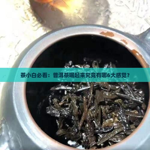 茶小白必看：普洱茶喝起来究竟有哪6大感觉？