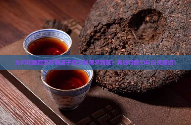 为何和顺普洱茶藤篮子成为收藏界新宠？其独特魅力与投资痛点！