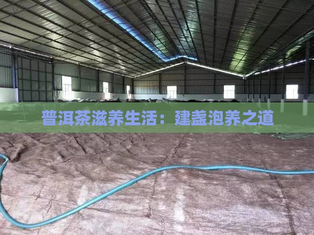 普洱茶滋养生活：建盏泡养之道