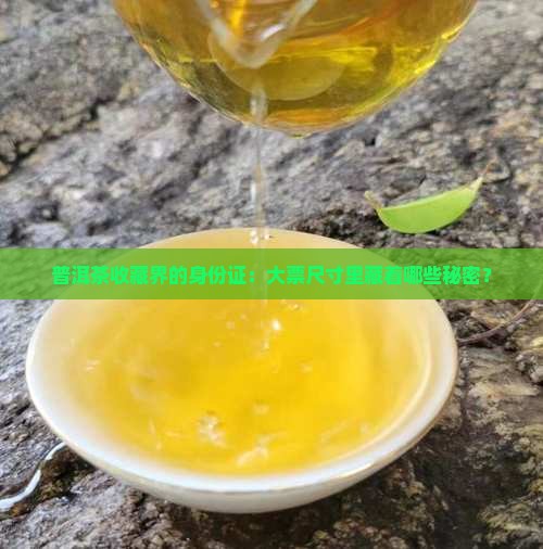 普洱茶收藏界的身份证：大票尺寸里藏着哪些秘密？