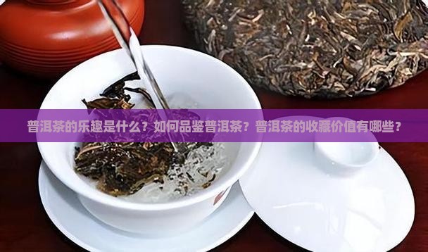 普洱茶的乐趣是什么？如何品鉴普洱茶？普洱茶的收藏价值有哪些？