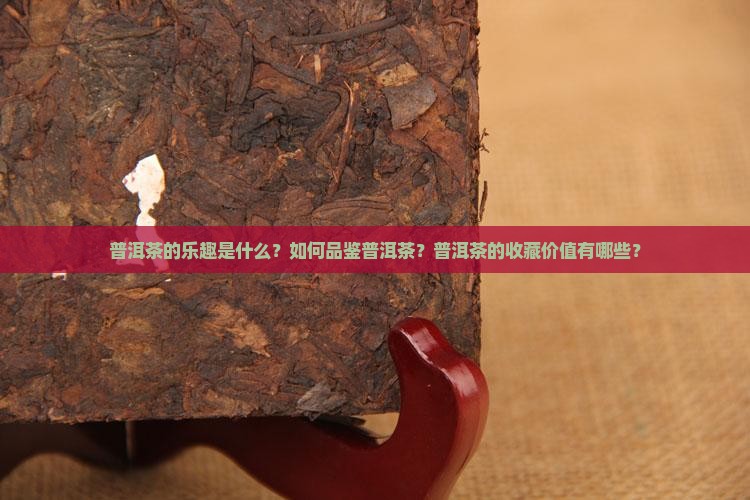 普洱茶的乐趣是什么？如何品鉴普洱茶？普洱茶的收藏价值有哪些？