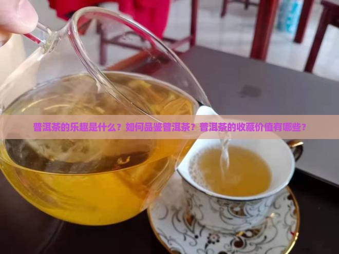 普洱茶的乐趣是什么？如何品鉴普洱茶？普洱茶的收藏价值有哪些？