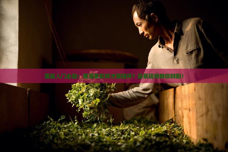 茶友入门必知：普洱茶怎样才算挂杯？品茶现场教你辨别！