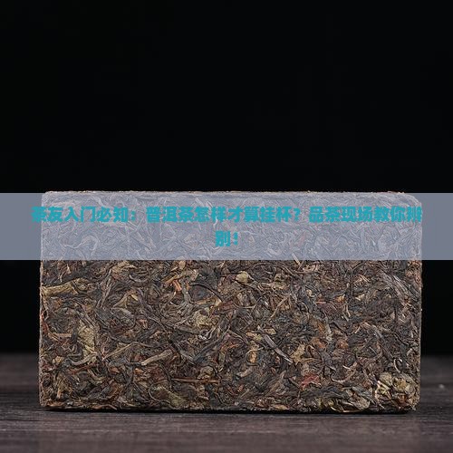 茶友入门必知：普洱茶怎样才算挂杯？品茶现场教你辨别！