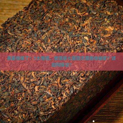 茶友惊呆了！7大奇观，普洱茶七星洞天藏着啥秘密？该如何探访？