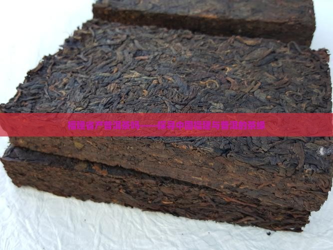 福建省产普洱茶吗——探寻中国福建与普洱的茶缘