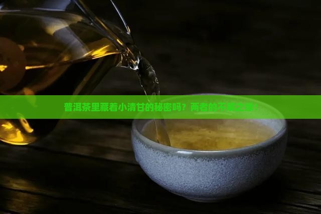 普洱茶里藏着小清甘的秘密吗？两者的不解之缘！