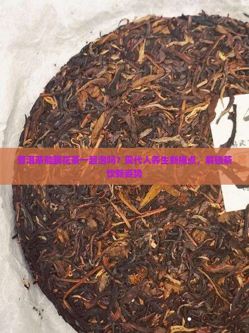 普洱茶能跟花茶一起泡吗？现代人养生新痛点，解锁茶饮新姿势